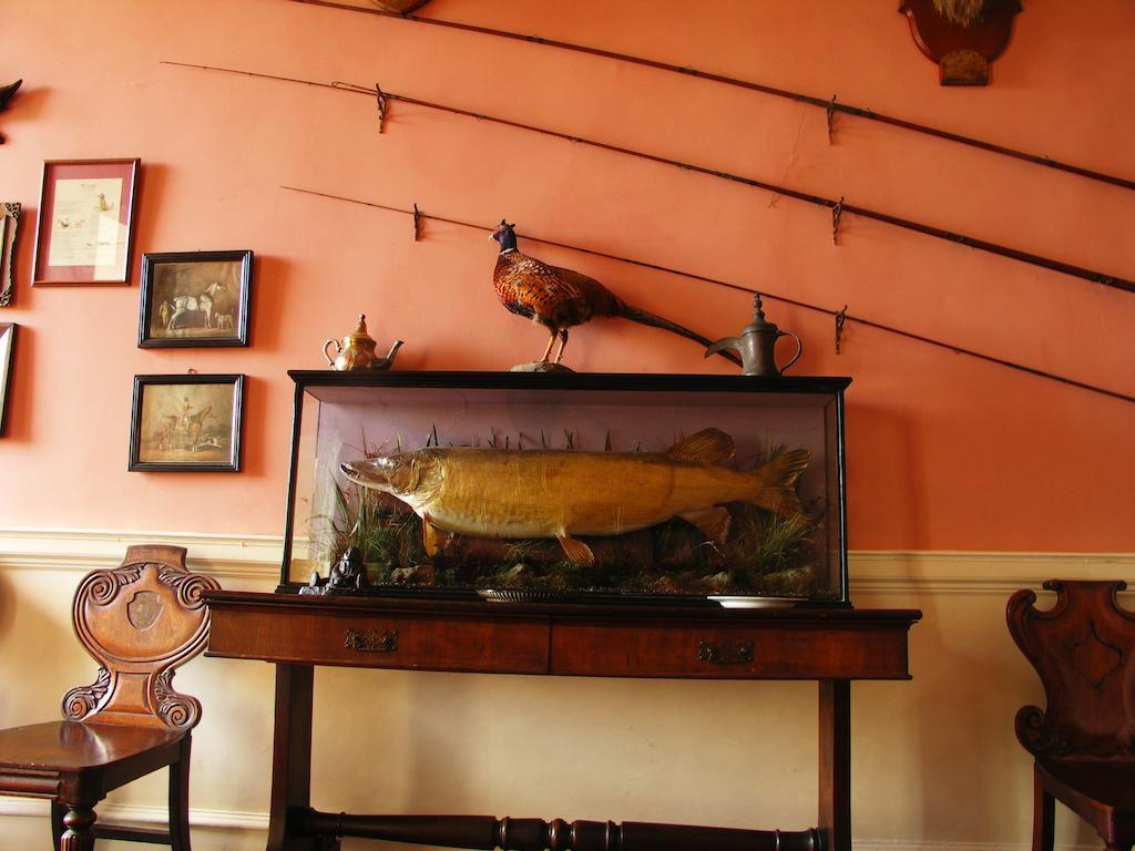Отель Enniscoe House Crossmolina Экстерьер фото